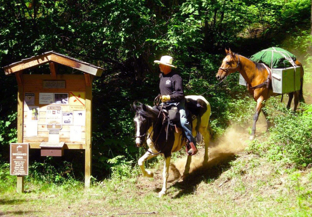 Many of our Pacific Northwest Trail Association members are riders and packers.