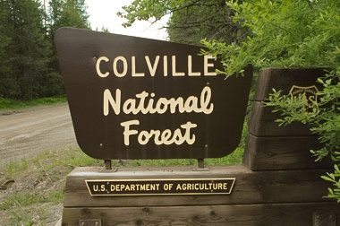 Colville National Forest Sign