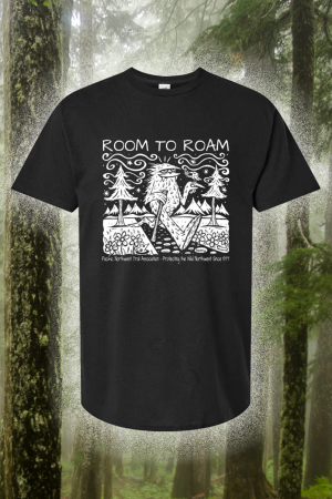 Room To Roam With Seattle Artist, henry